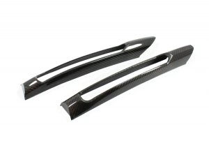 Mercedes Benz SLK Bumper Light Trim - Front - Carbon Fiber - R172